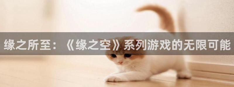 新宝gg登录平台入口地址：缘之所至：《缘之空》系列游戏的无限