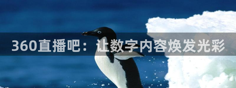 360体育足球直播吧