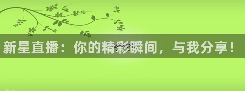 360体育在线直播无插件