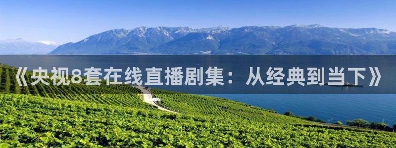 360直播体育在线观看
